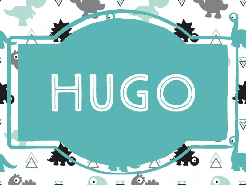 Unique baby boy name Hugo