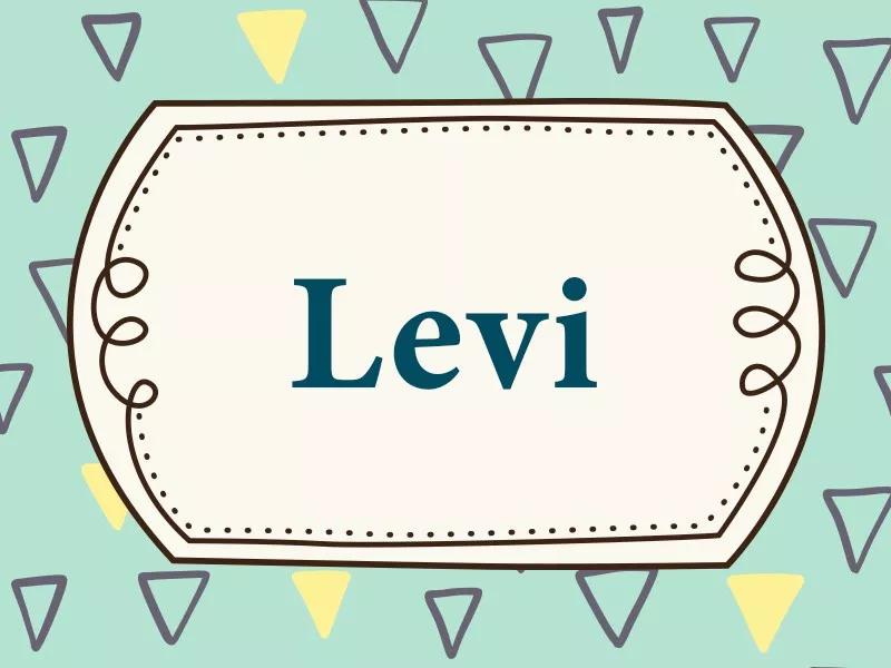 Levi