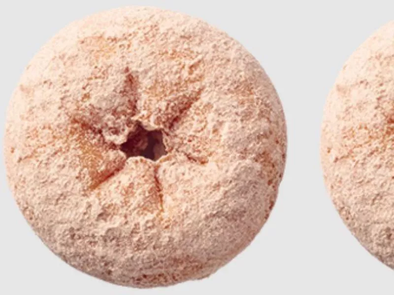 Powdered Cinnamon Cake Donut