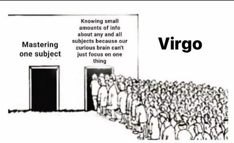 Virgo Meme