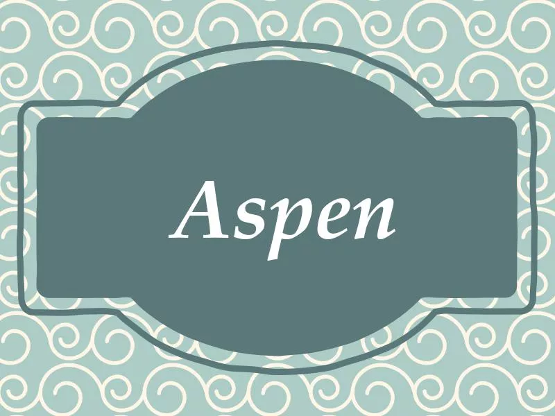 Aspen