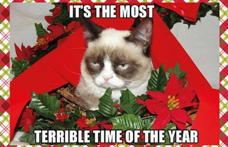 Grumpy cat holiday meme