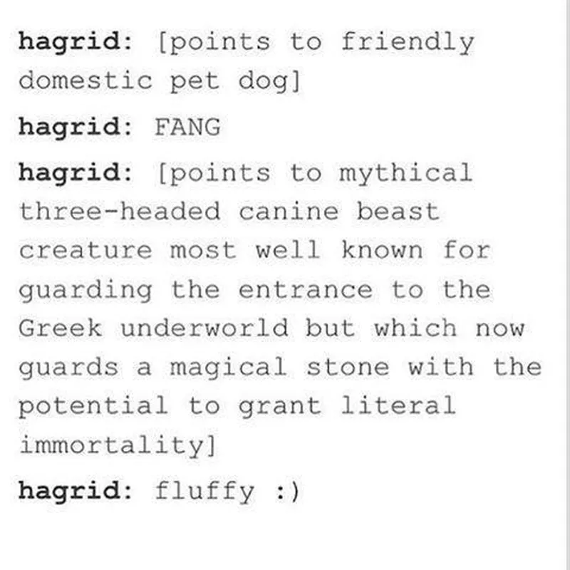 Hagrid Is the Sweetest and Nothing You Say Can Convince Us Otherwise