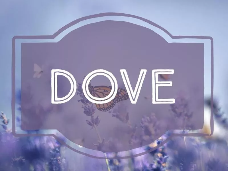 Dove nature-inspired baby name