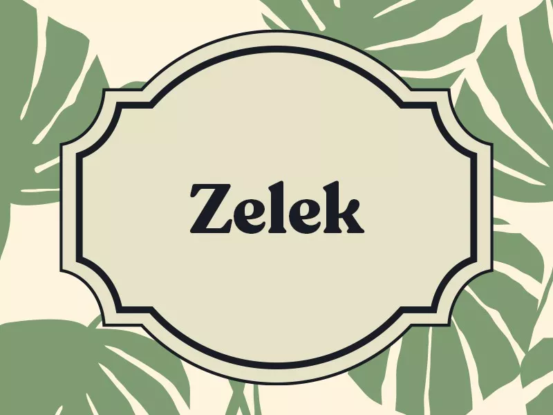 Zelek