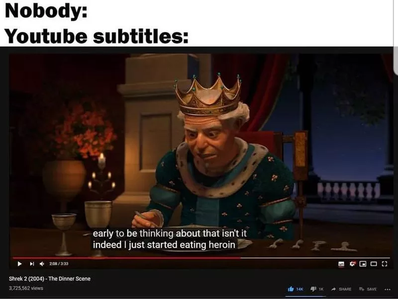 YouTube subtitles