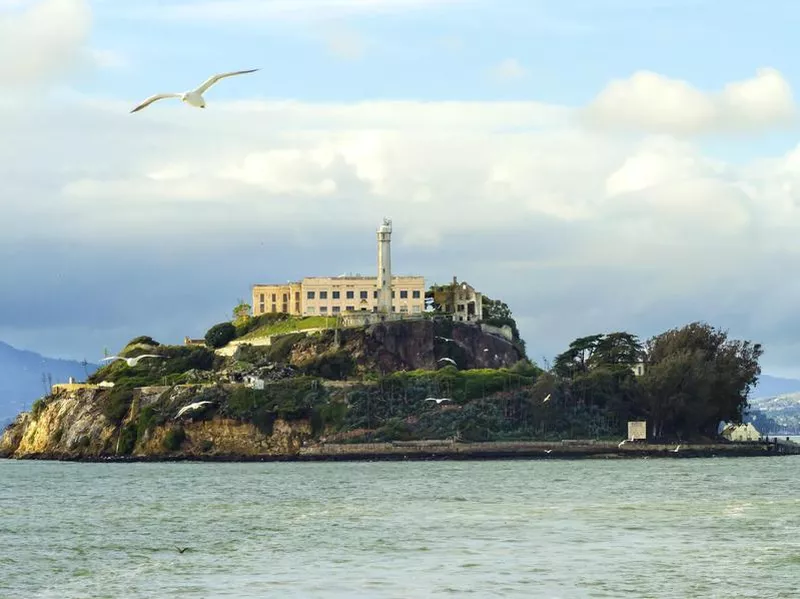 Alcatraz Island