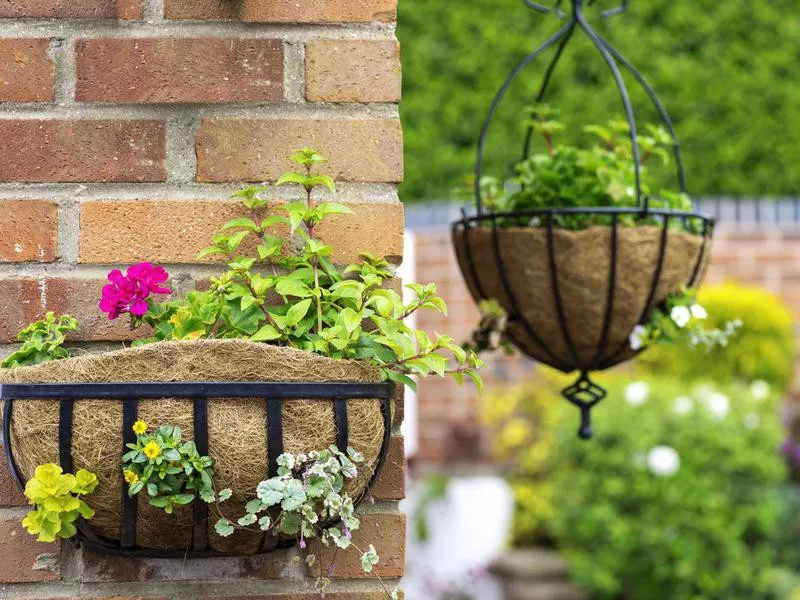 Hanging flower baskets