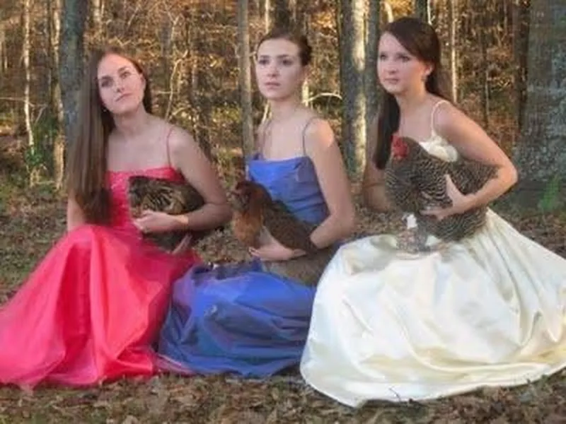 Awkward photo of sisters holding chickens