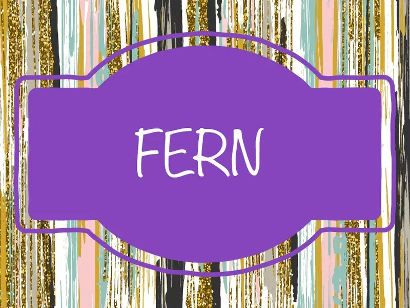 Fern