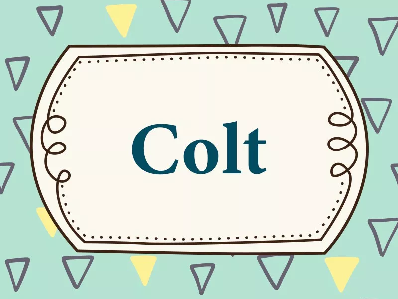 Colt