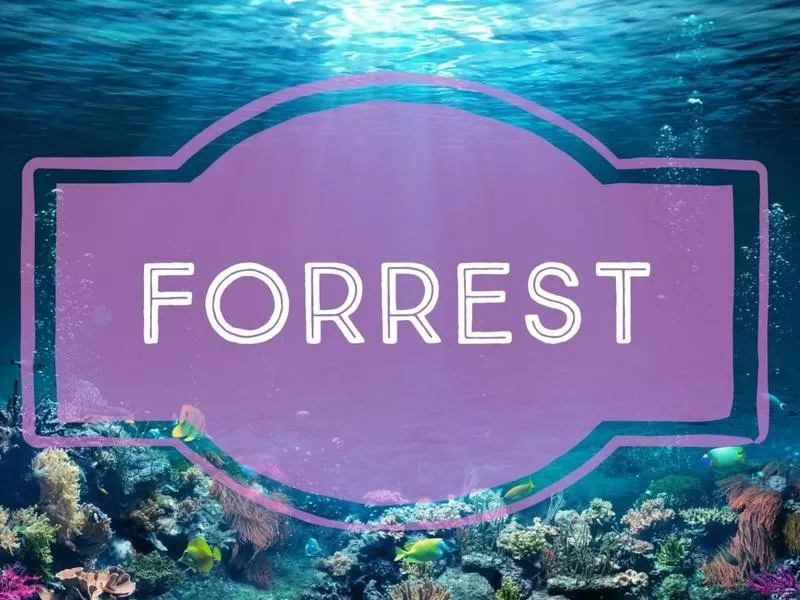 Forrest nature-inspired baby name