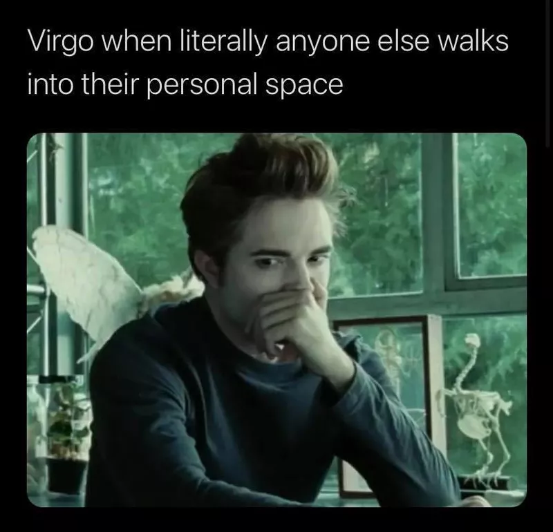 Virgo Meme