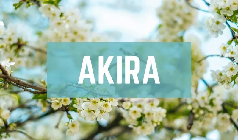 Akira