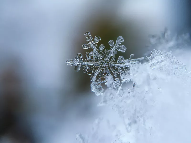 Snowflake up close