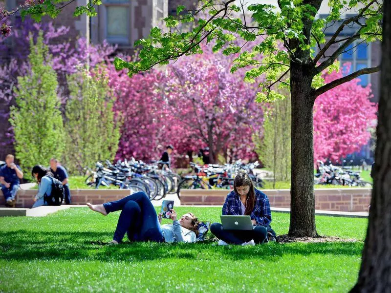 Washington University in St. Louis