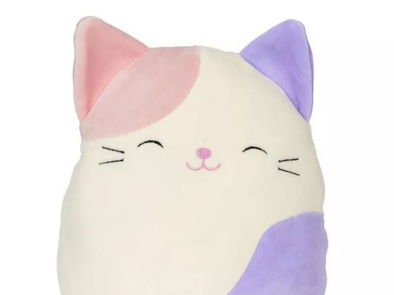 Charlotte the Calico Cat Squishmallow