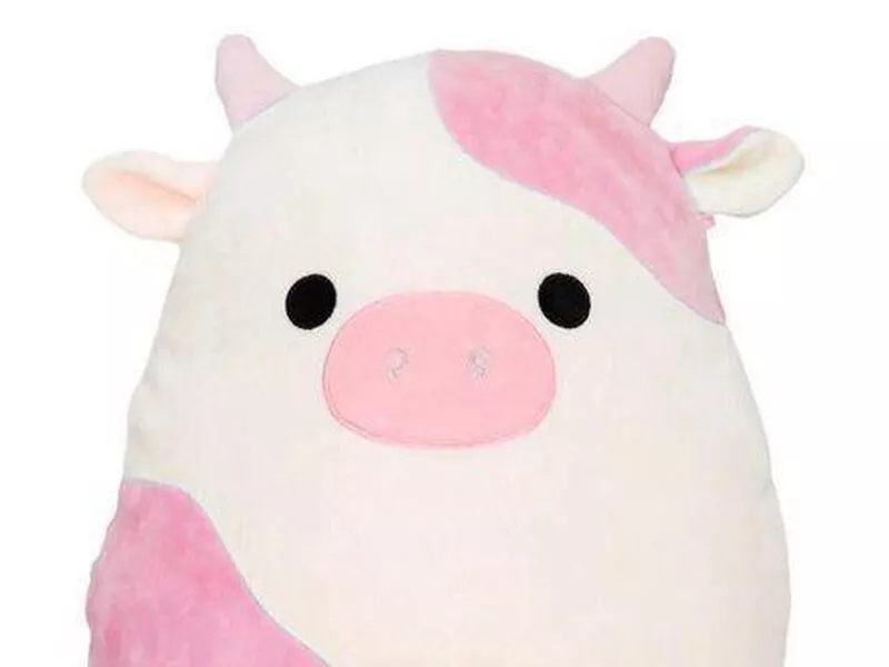 Is Jenny the Cow a fake Squishmallow?