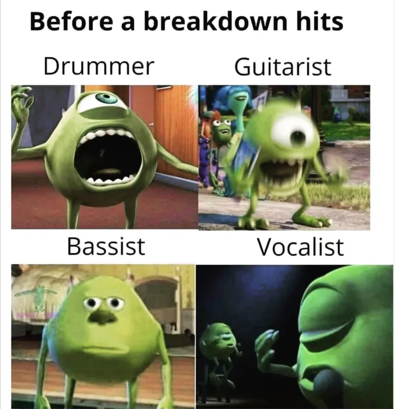 Mike Wazowski meme about band members