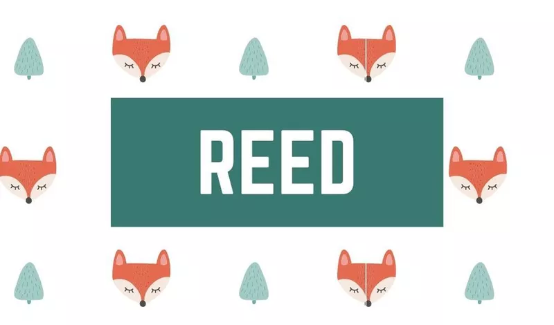 Reed