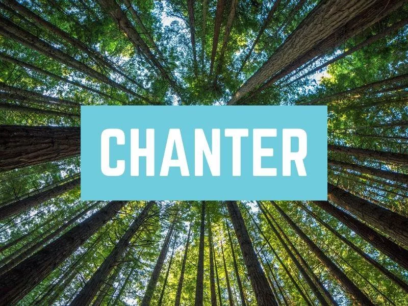 Chanter