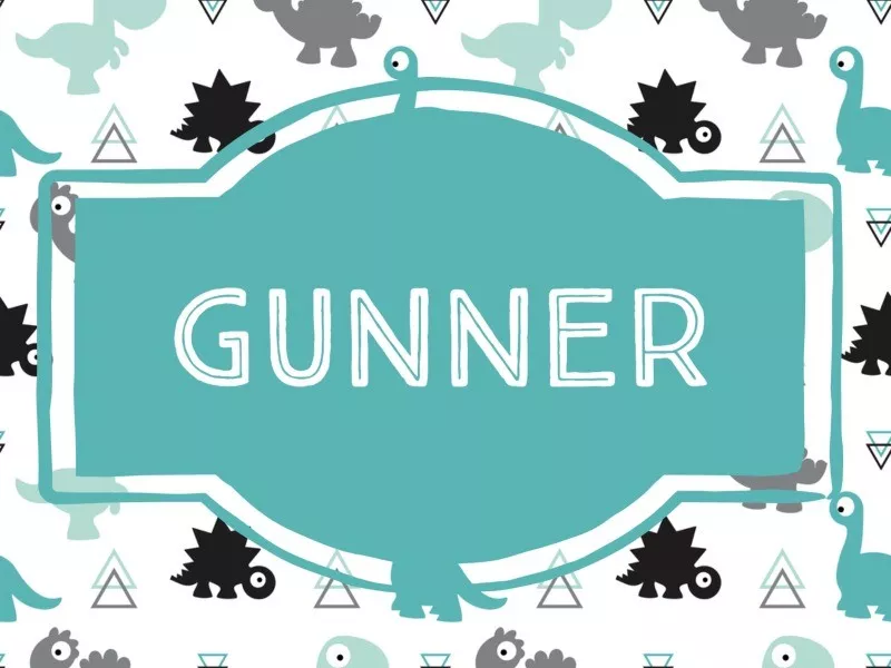 Gunner