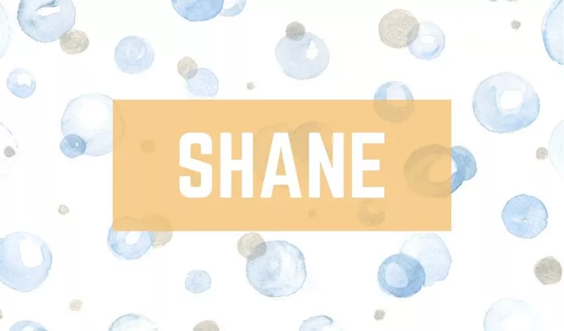 Shane