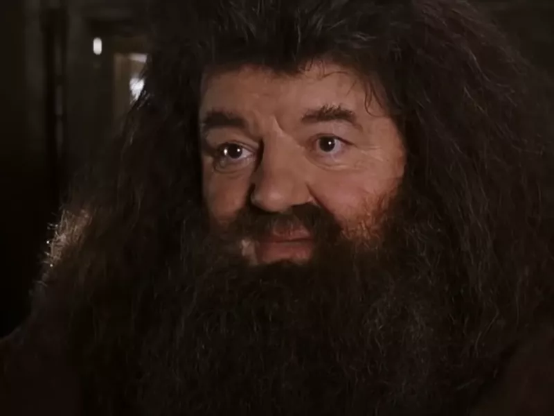 Robbie Coltrane as Hagrid in Harry Potter