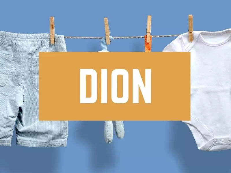 Dion