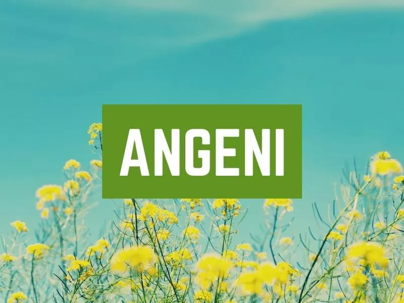 Angeni