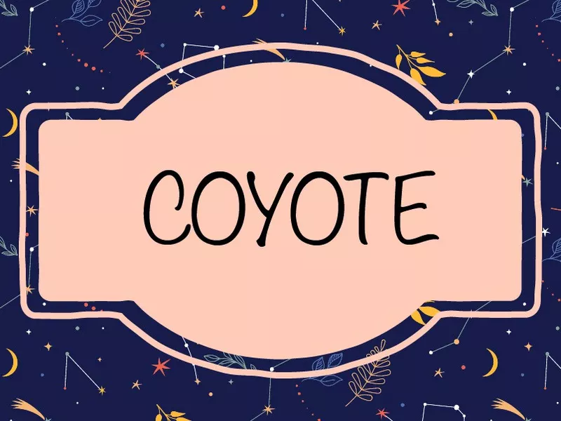 Coyote