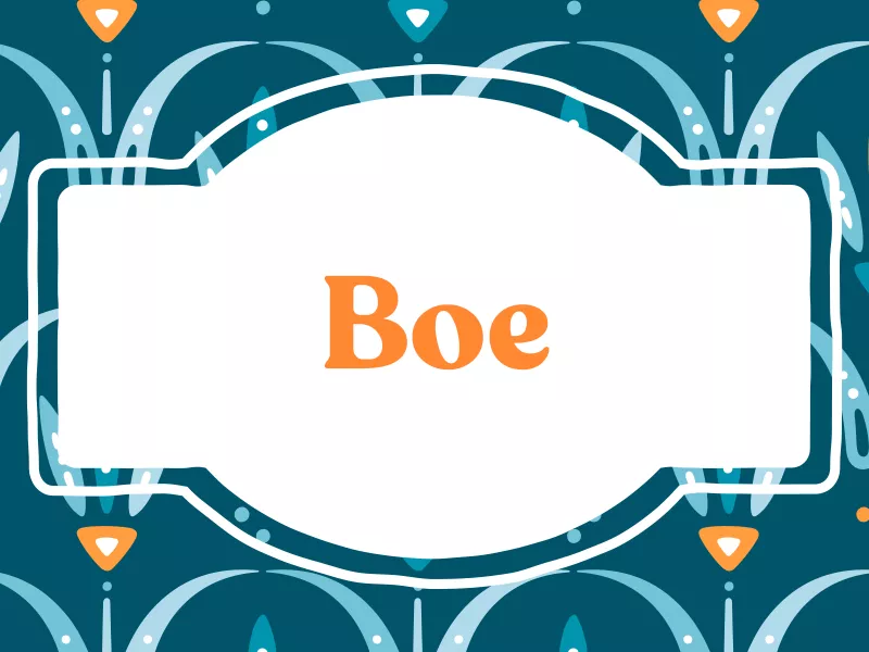 Boe