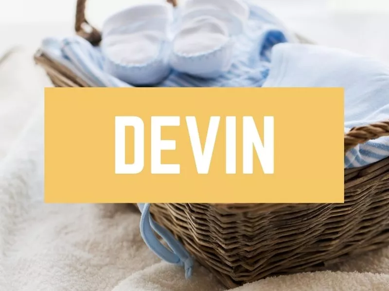 Devin