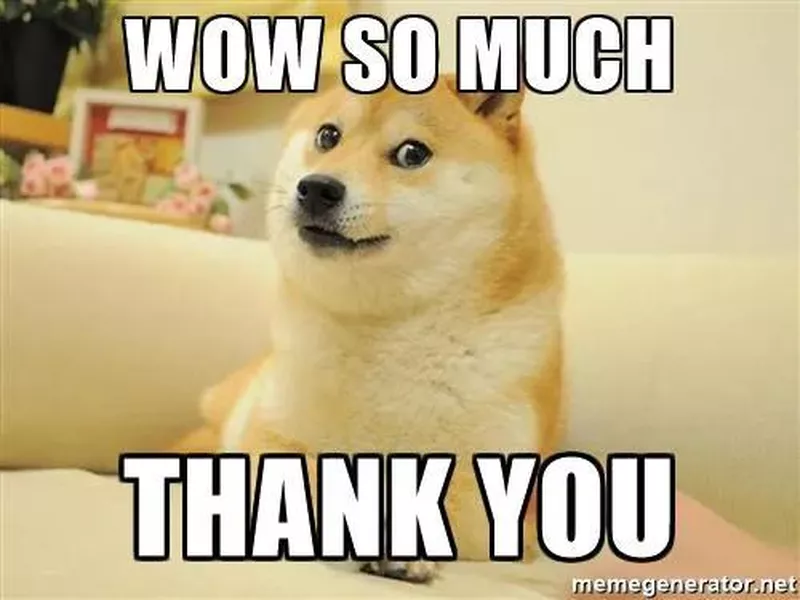 Doge thank you meme