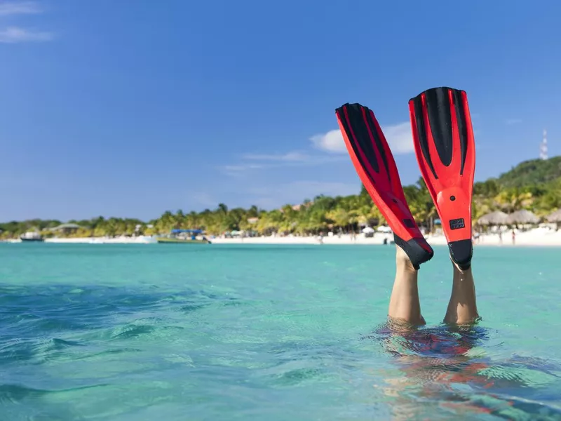 Vacation Lifestyles-Snorkeler Diving in Ocean