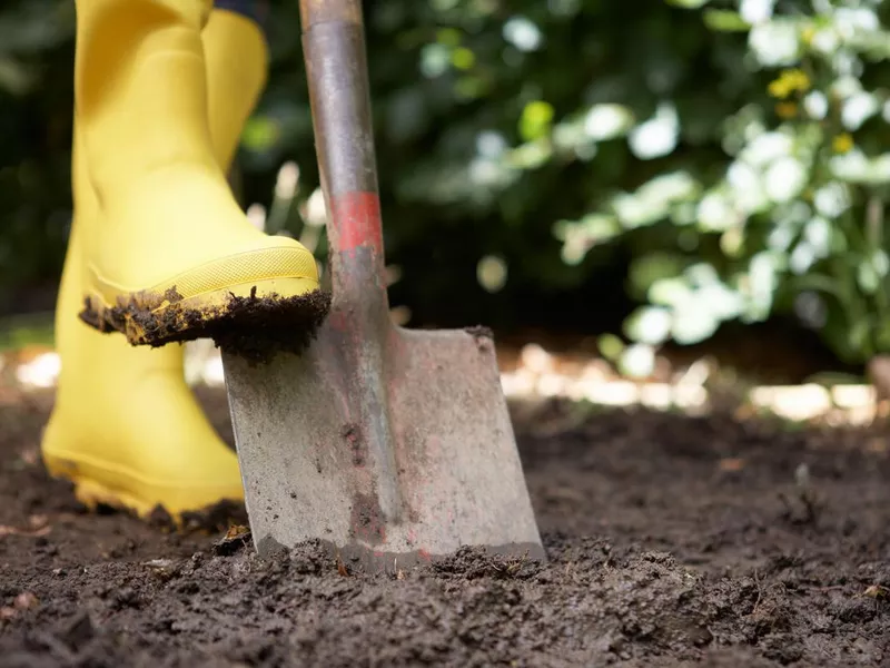 Person using yellow boots and shovel in a garden