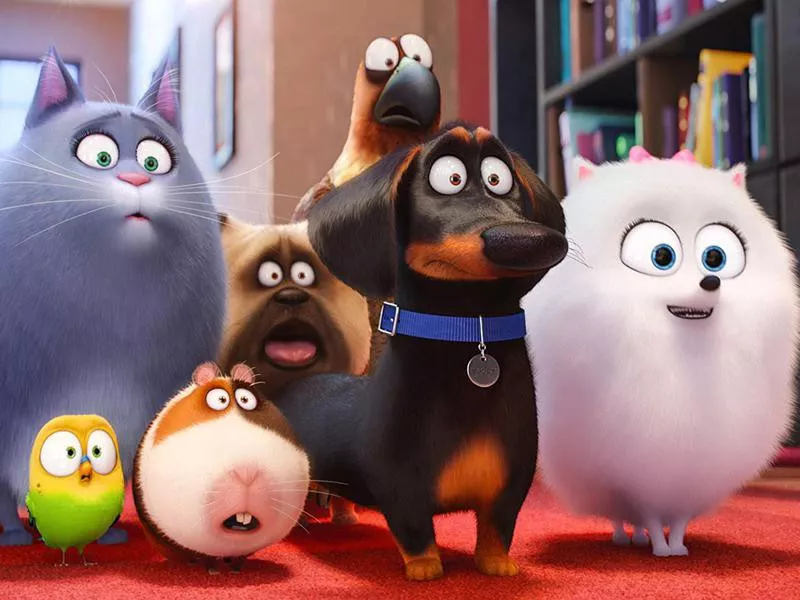 secret life of pets